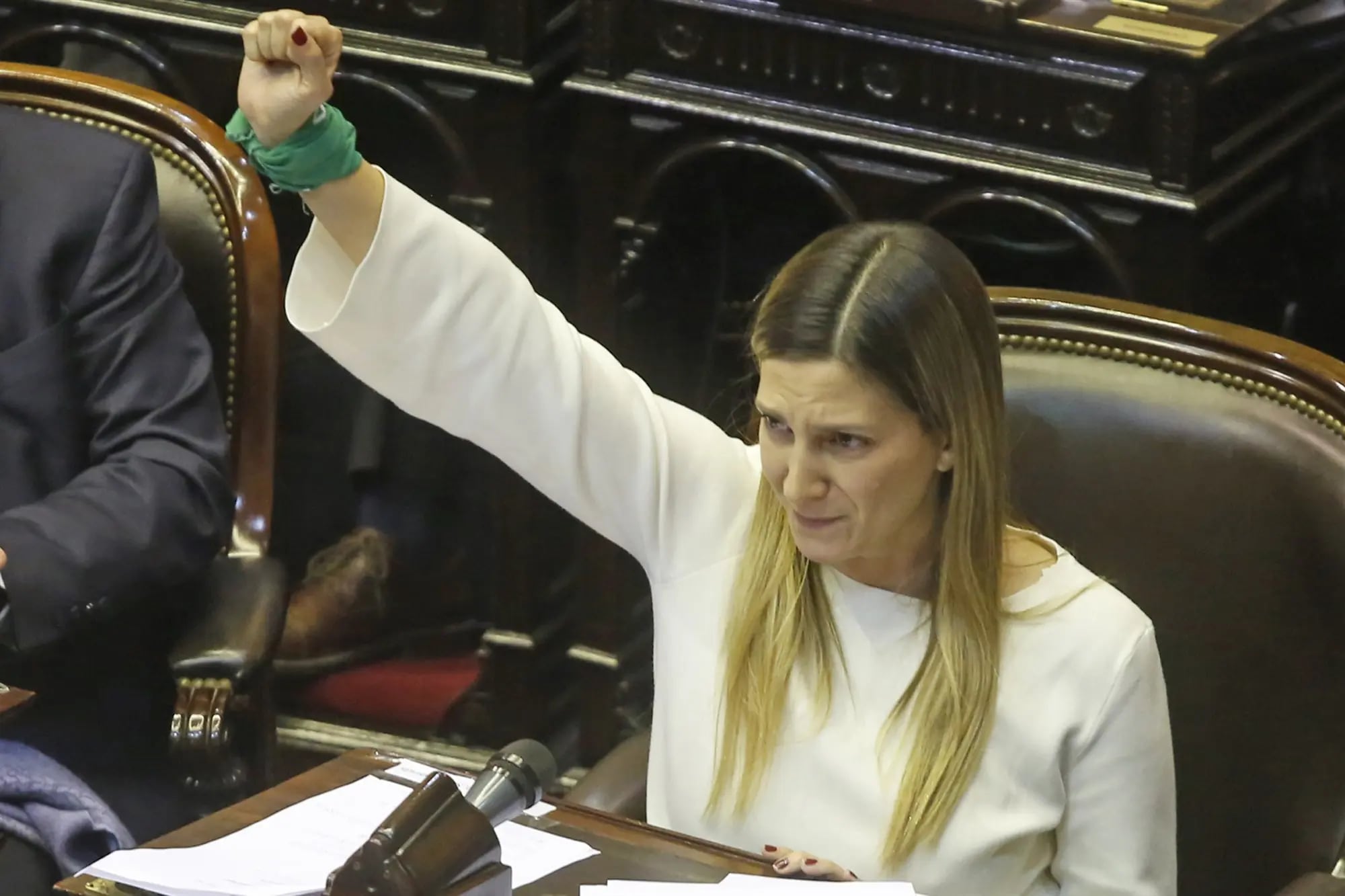 Su discurso legislativo en 2018 a favor del aborto, defendía las políticas que Milei desmanteló