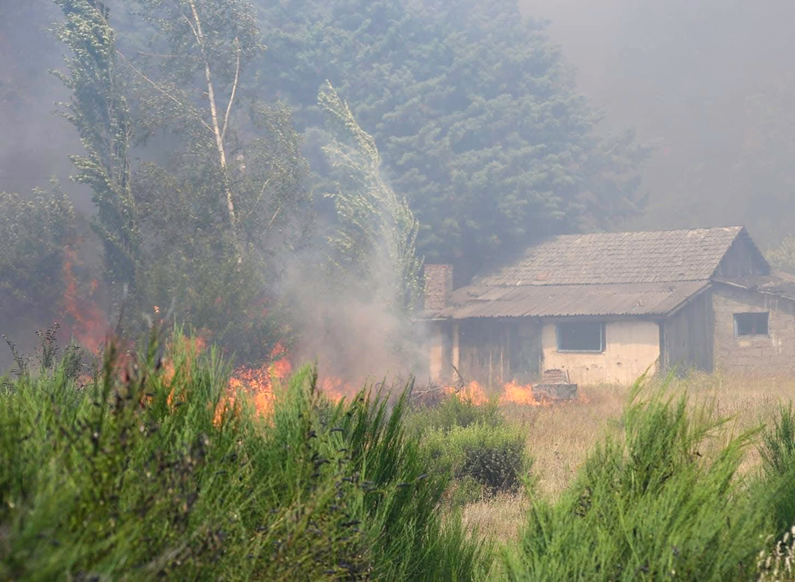 La Patagonia arde sin fin.