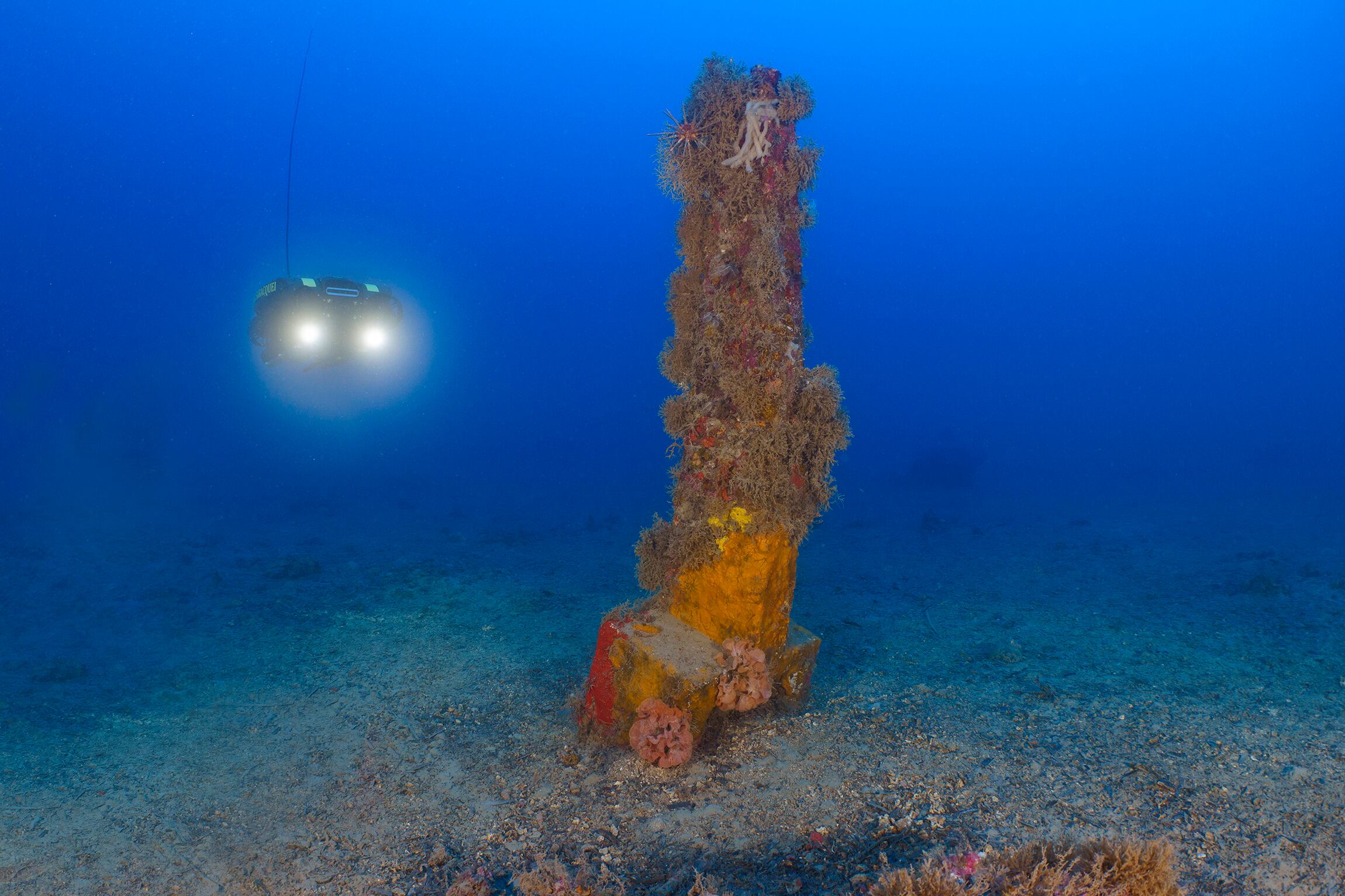 El ancla de plomo se encuentra intacta, clavada a 52 metros de profundidad