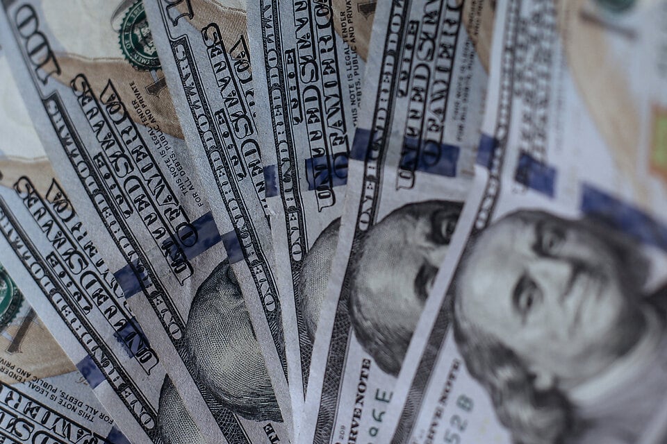 El BCRA adquirió 133 millones de dólares para las reservas.