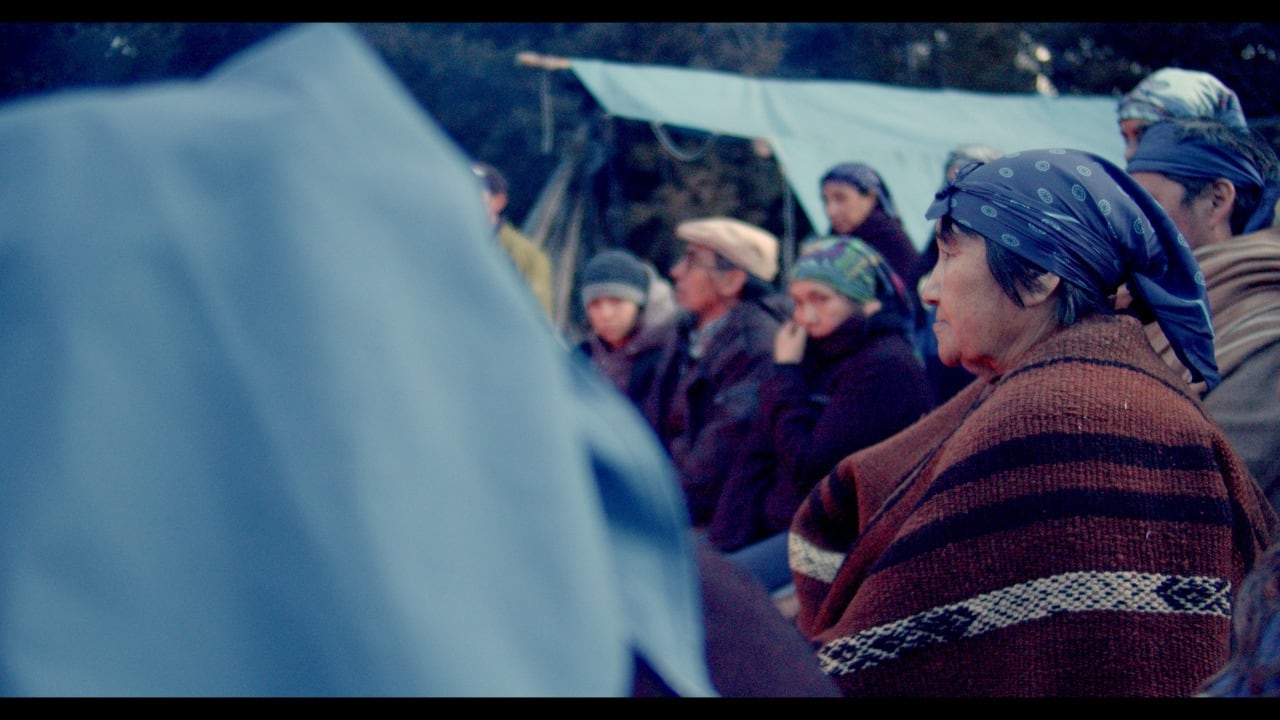 Isabel Catriman llegó hace más de veinte años al Parque Nacional los Alerces, provincia de Chubut. Hoy está siendo juzgada injustamente para evitar que permanezca allí. 