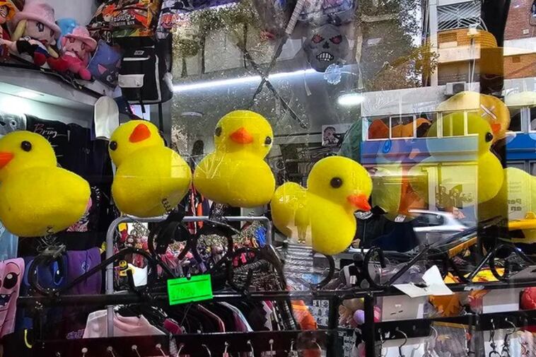 Hay quienes optan por llevar los patitos en el hombro o en la solapa de la ropa.
