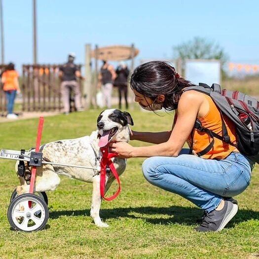 Foto: Instagram Campito Refugio