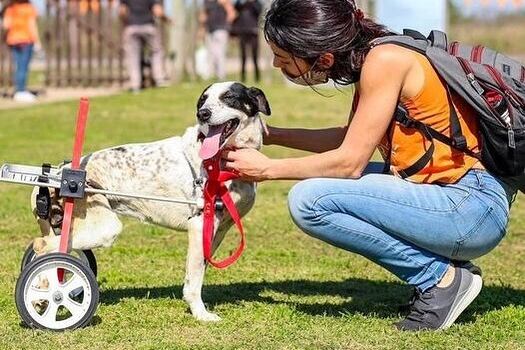 Foto: Instagram Campito Refugio