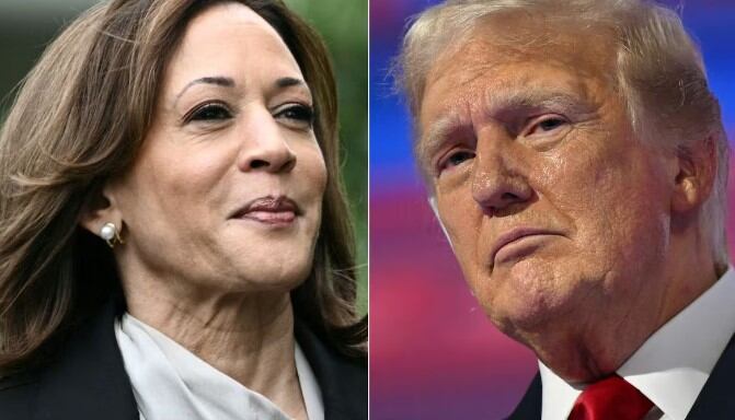 Según las encuestas, el panorama electoral es ajustado 