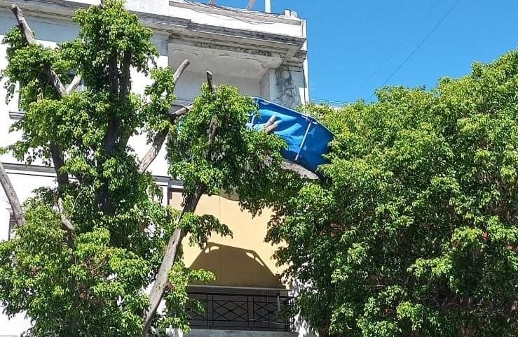 La pileta tipo pelopincho salió volando y terminó entre las ramas de los árboles (Foto: AGLP).