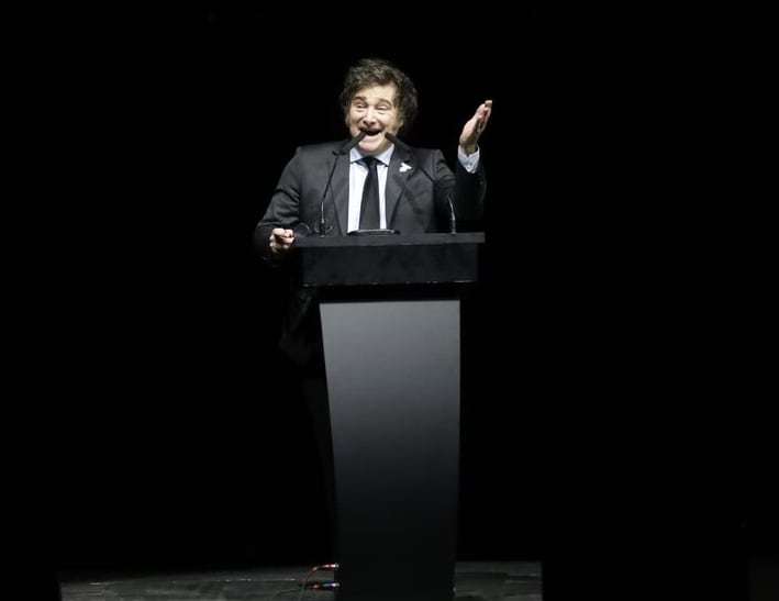 "Hice esto porque quería cantar", admitió Milei.