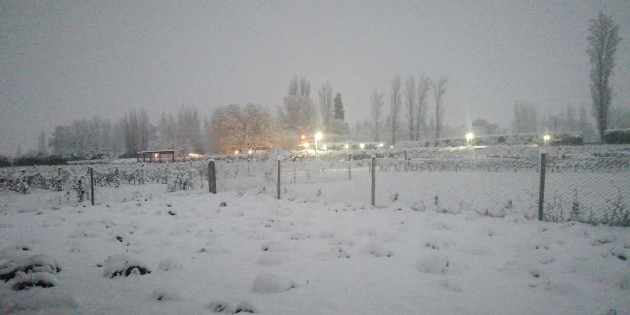 Paisaje encantado. Las nevadas cubrieron los paisajes de Agrelo, en Luján de Cuyo (Foto: Posada rural Finca Garciarena)