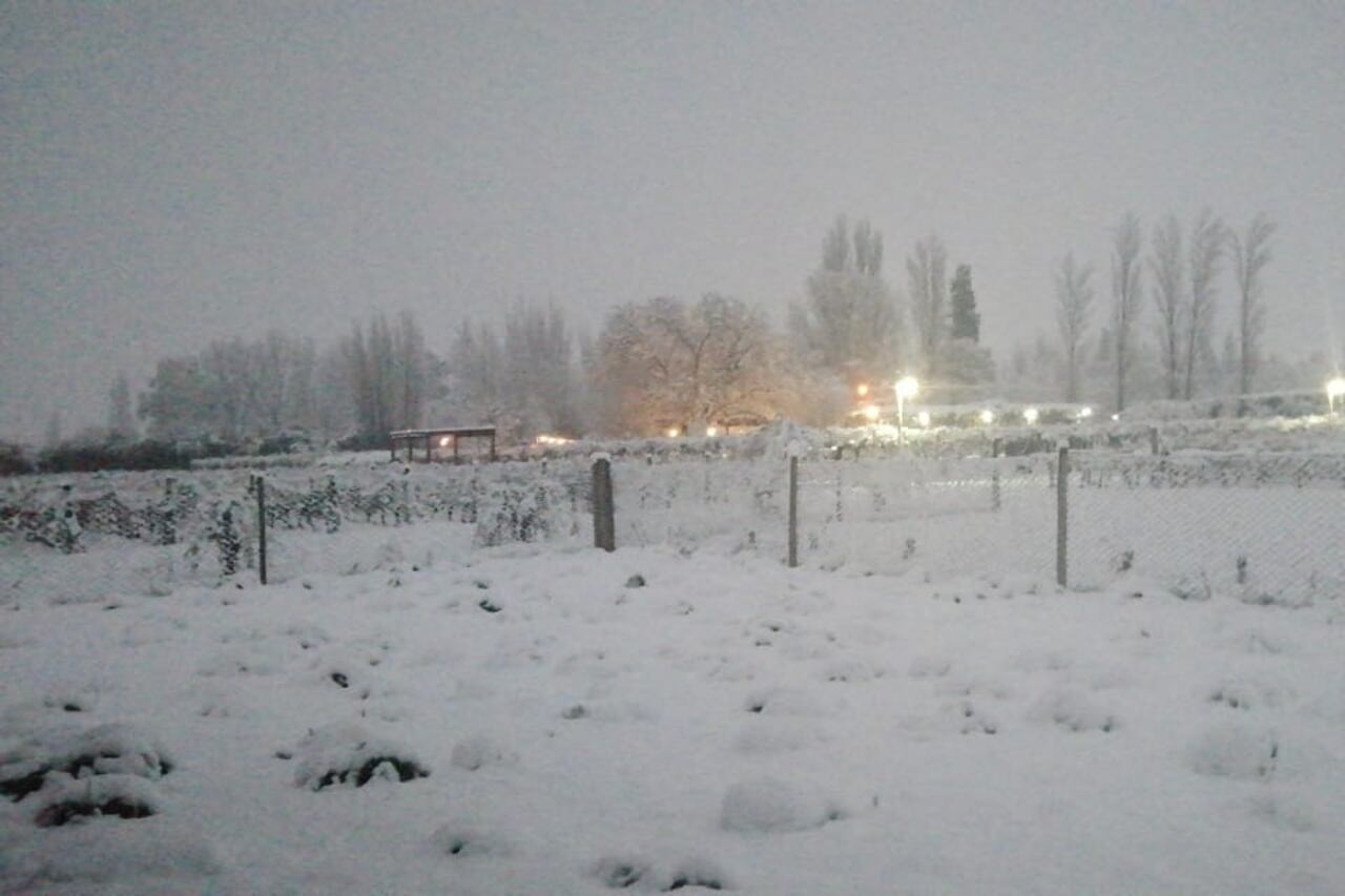 Paisaje encantado. Las nevadas cubrieron los paisajes de Agrelo, en Luján de Cuyo (Foto: Posada rural Finca Garciarena)