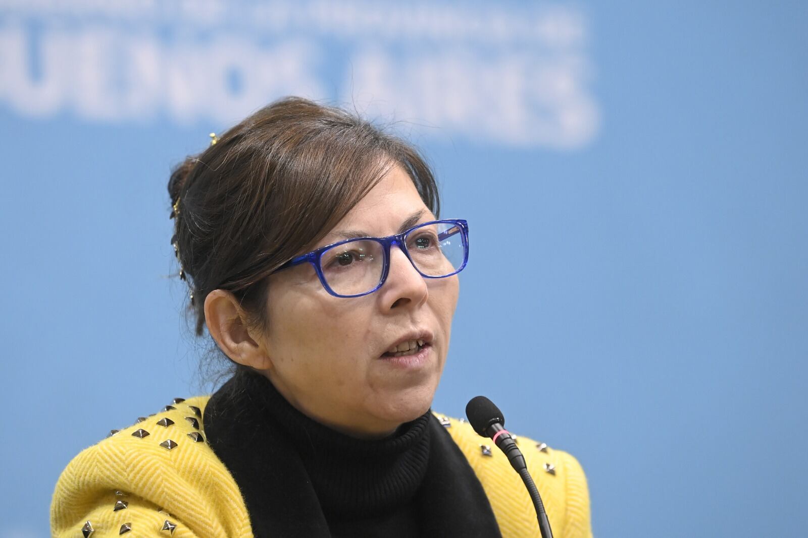 Silvina Batakis, ministra de Hábitat y desarrollo urbano de la Provincia.