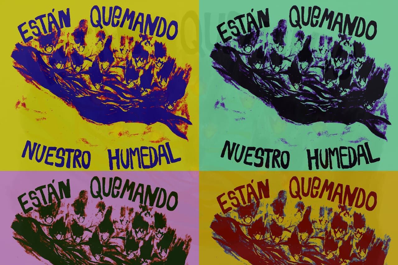 Imágenes del Proyectorazo realizado el 15 de julio en Victoria, Entre Ríos