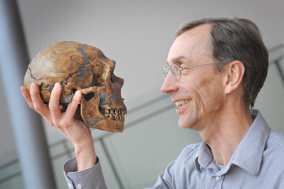 El Premio Nobel de Medicina, Svante Pääbo, supervisó los estudios dados a conocer en la revista Nature, y que dan informaciòn pro primera vez de una familia de neandertales. (Foto:AFP)