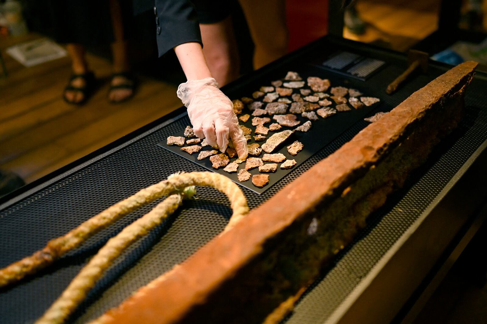 Los restos que se exhiben en Santiago.