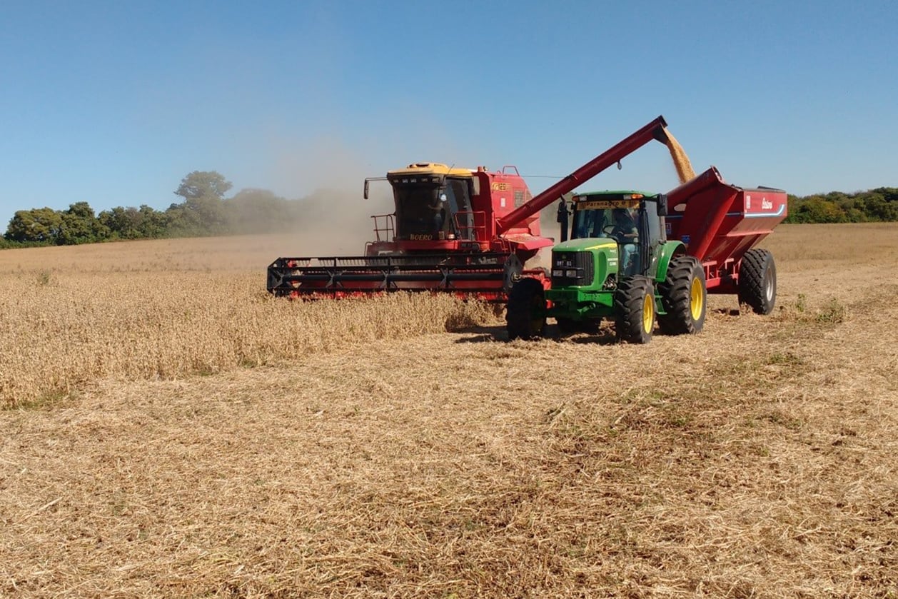 La recuperación de la soja le da aire a las cuentas públicas. 