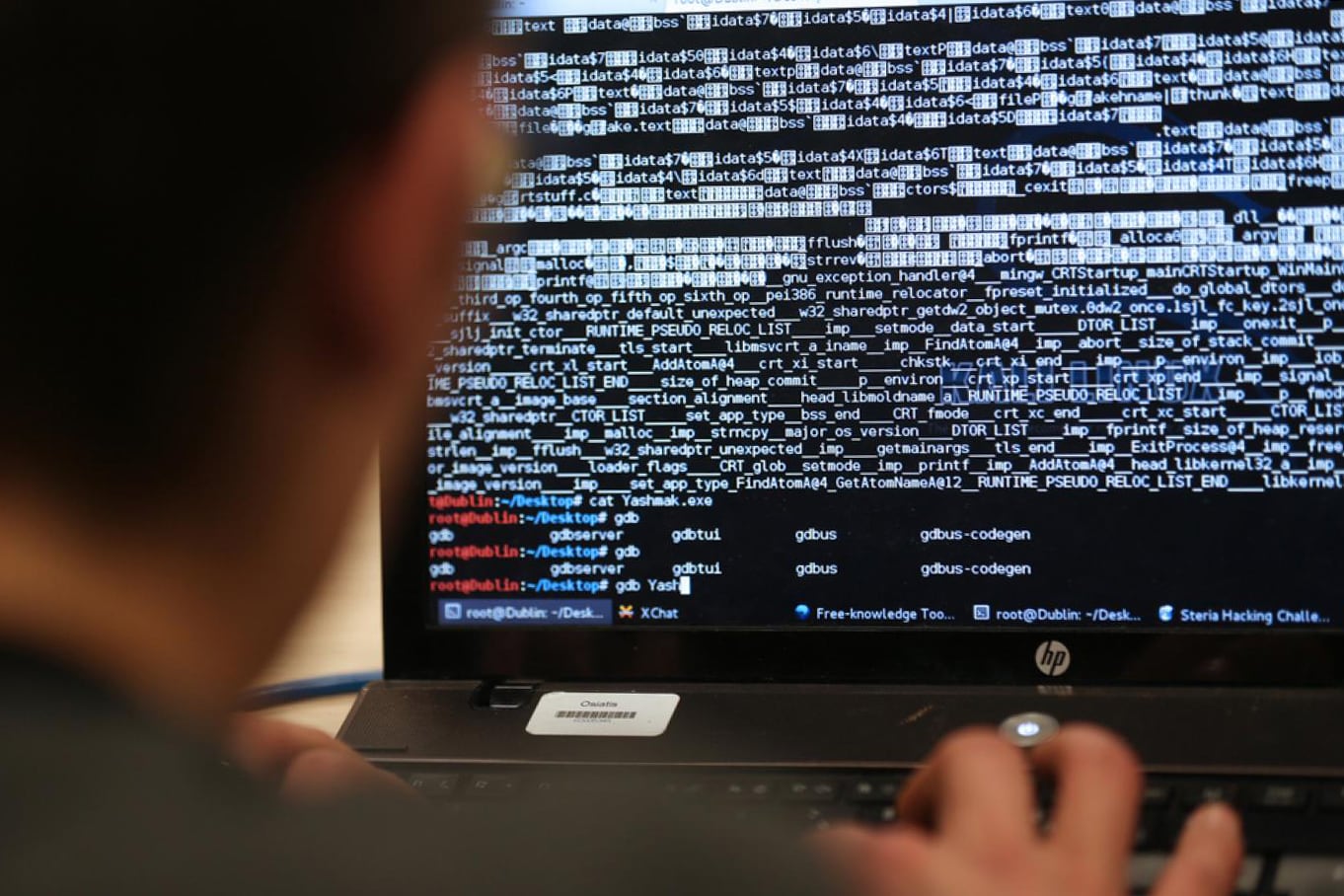 El modelo del SL además permite la formación de desarrolladores.