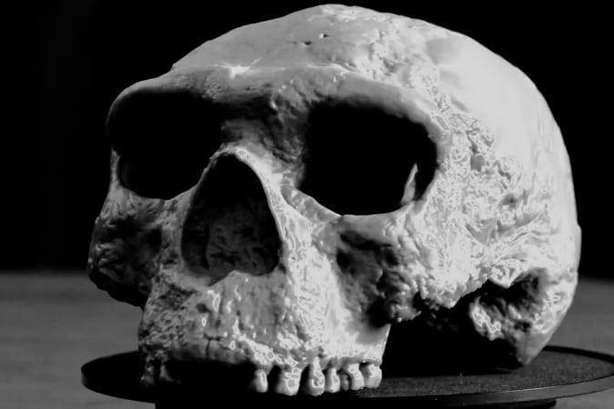 La reconstrucción de un cráneo que cambiaría la historia.