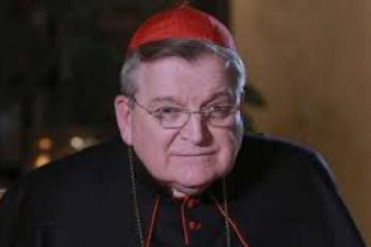 Raymond Leo Burke, crítico del papa de Francisco.