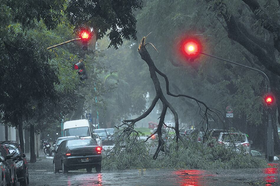 Imágenes increíbles tras el paso del temporal en una de las calles porteñas.