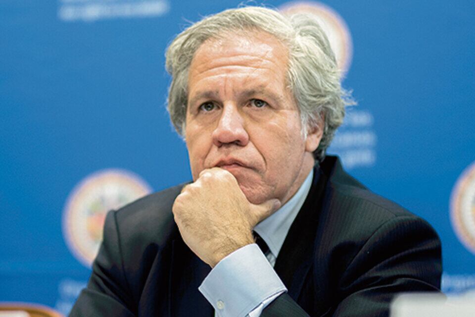 Luis Almagro.
