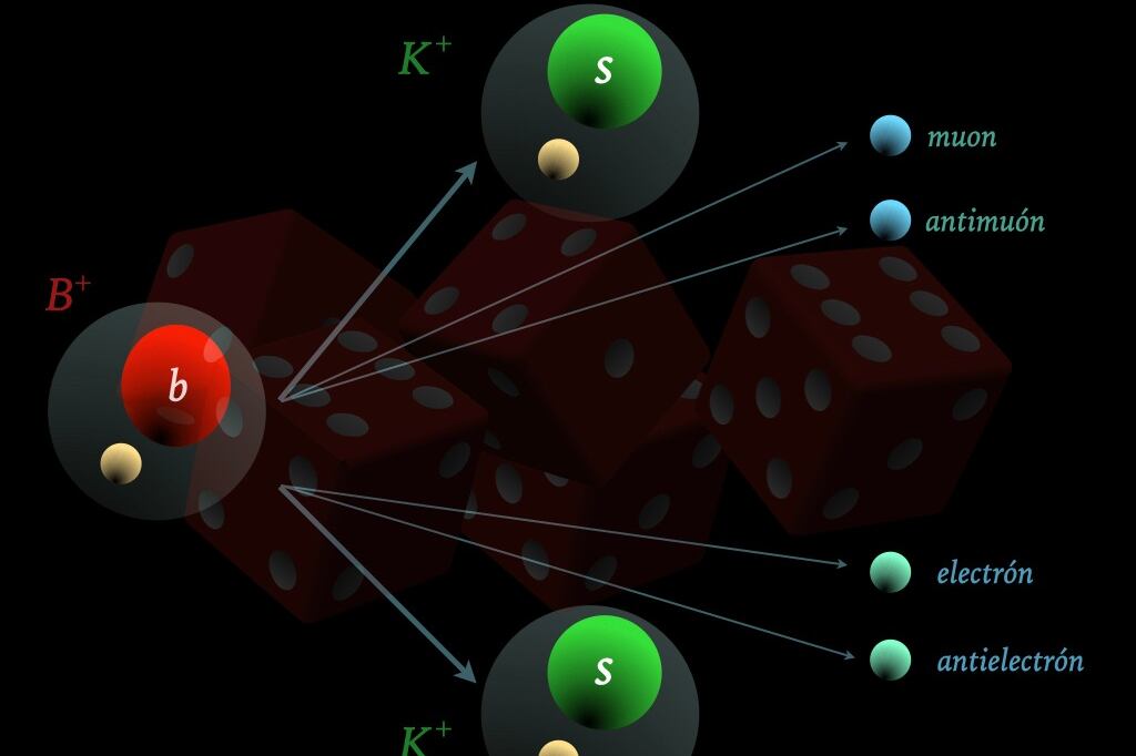 El Modelo Estándar implica que los dos decaimientos tienen igual probabilidad. La Naturaleza parece tener los dados cargados y preferir el de abajo.