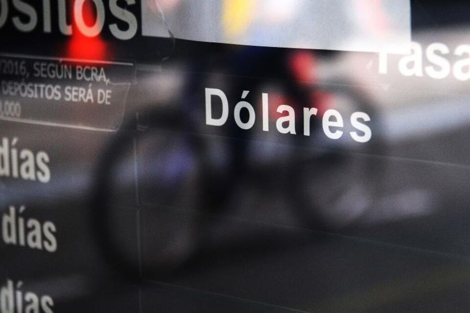 La divisa subió 34 centavos y finalizó en 45,89 pesos.
