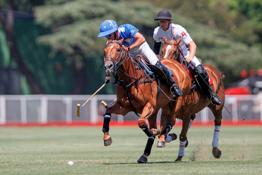 Murus Sanctus fue contundente esta tarde