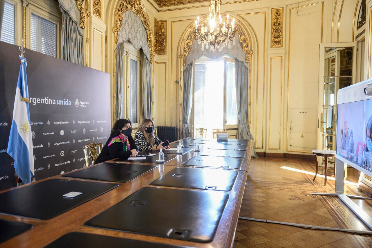 La ministra de Salud de la Nación, Carla Vizzotti, durante uno de los encuentros virtuales.