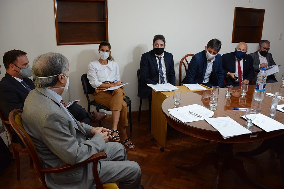 Edery y Schiappa Pietra ante las comisiones de Asuntos Constitucionales y Juicio Político.