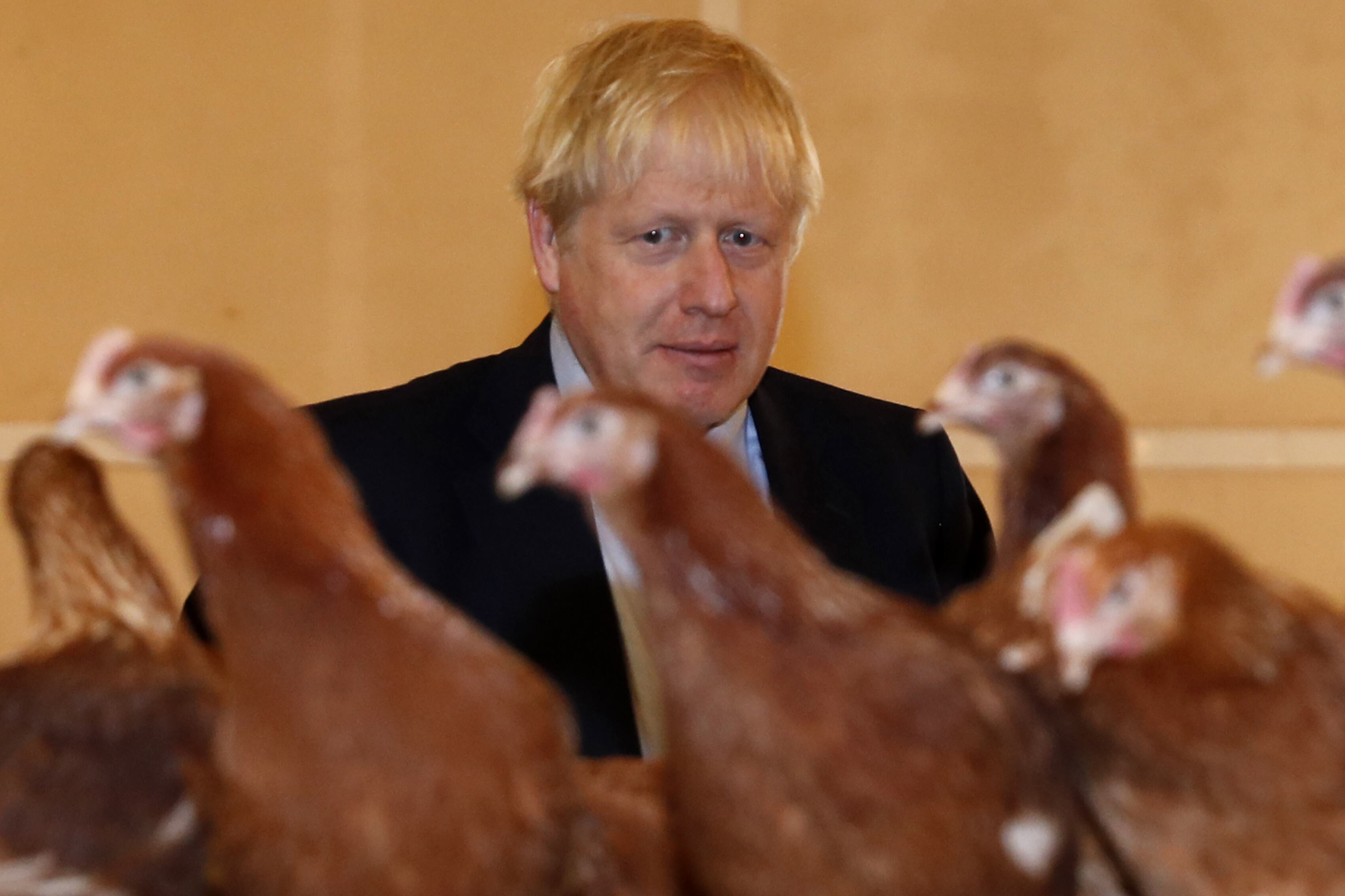 Boris Johnson quiere abandonar el bloque europeo en la fecha prevista, el 31 de octubre.