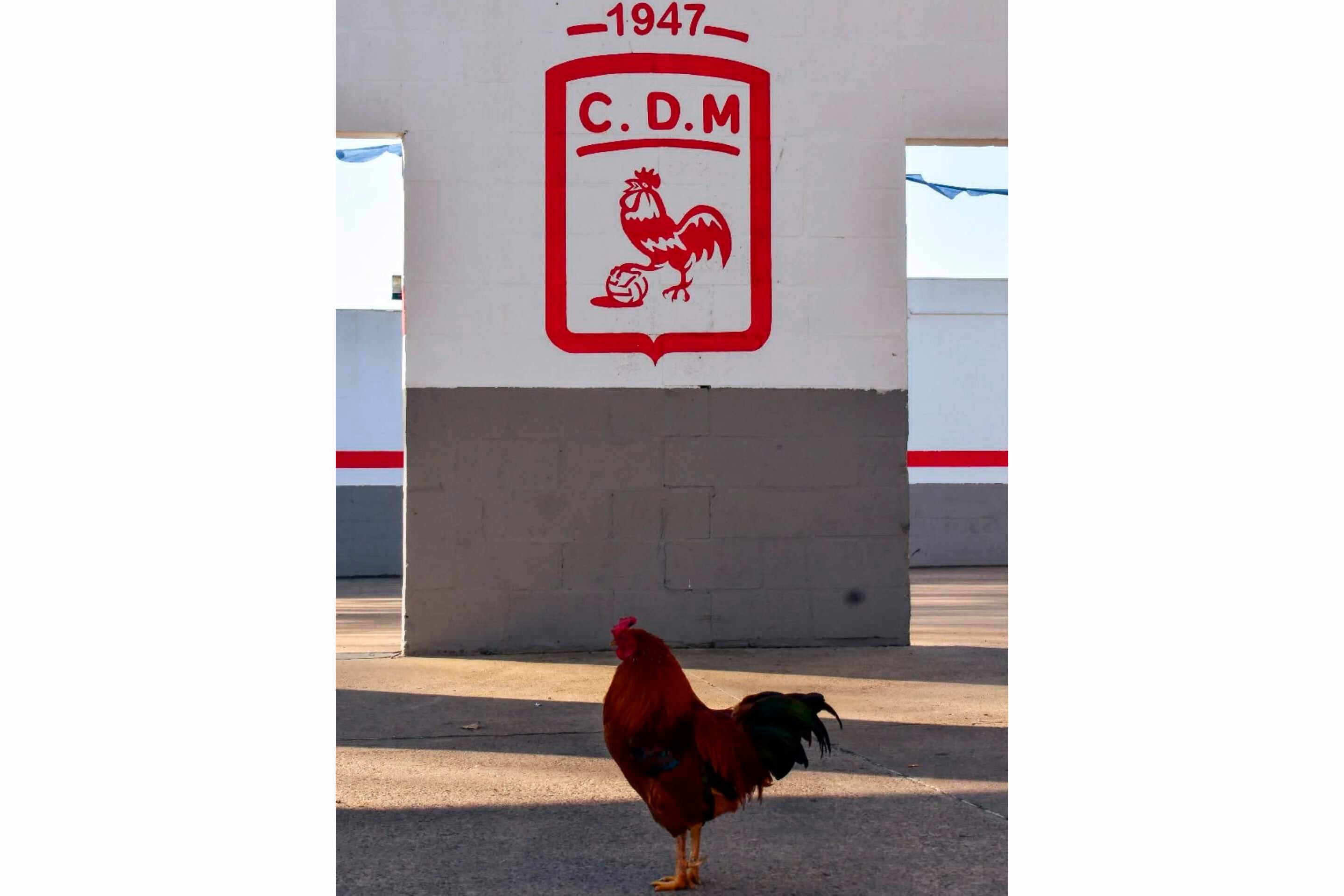 Derecho de imagen, por @agustccaino.