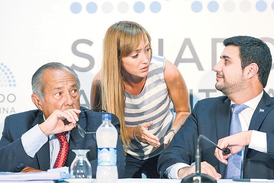 El diputado Marcos Cleri junto a Rodríguez Saá y Fernández Sagasti, integrantes de la comisión bicameral.