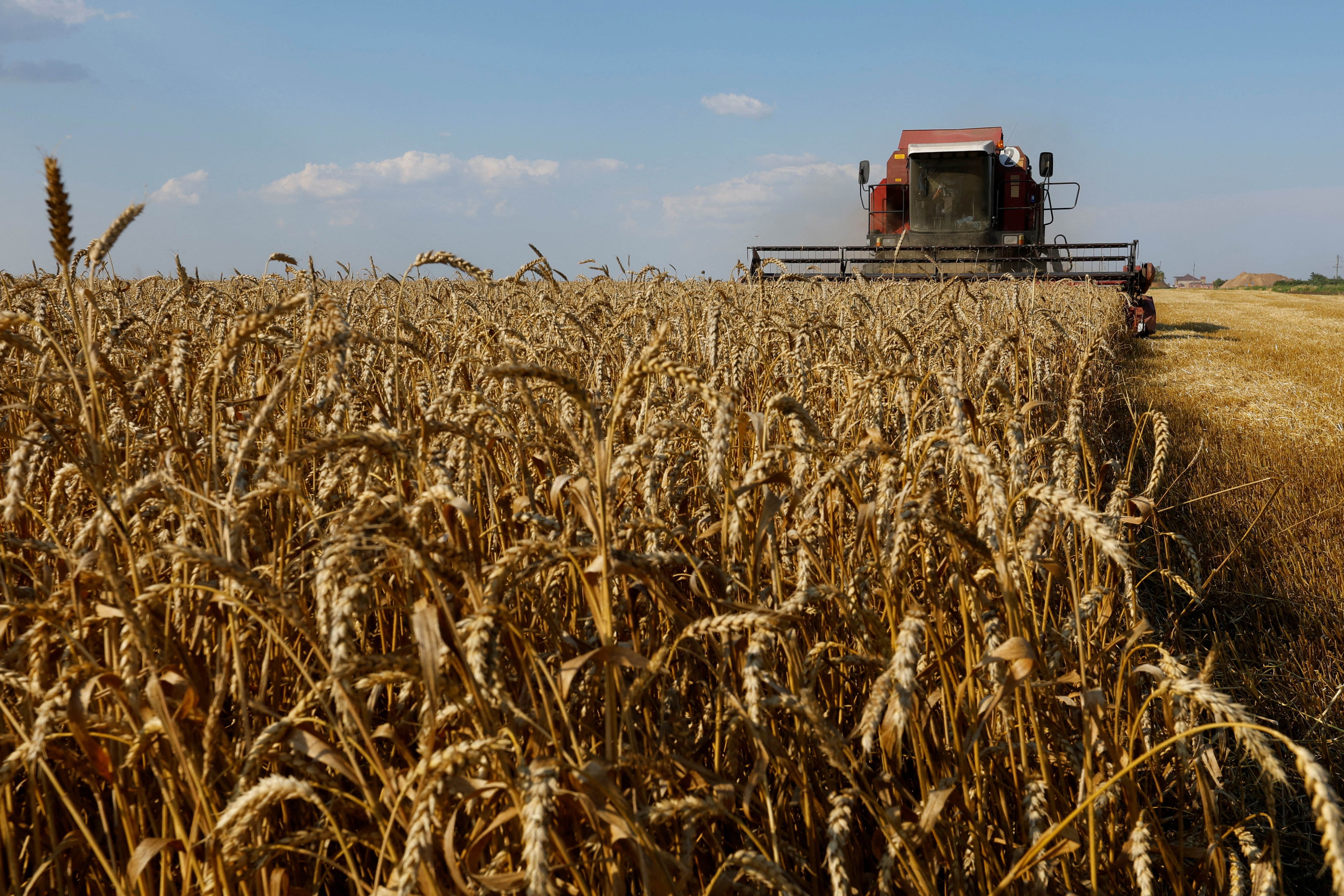 Por decisión de Kicillof, los pequeños productores cada vez pagan menos