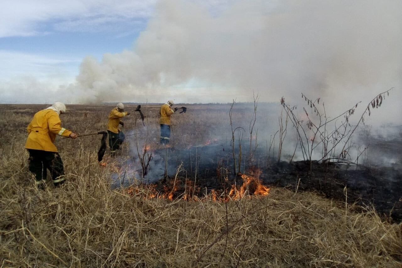 En las islas salieron los propios vecinos contra el fuego.