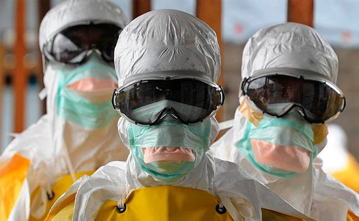 Reapareció el Virus de Marburgo, cercano al Ébola y casi tan mortal.