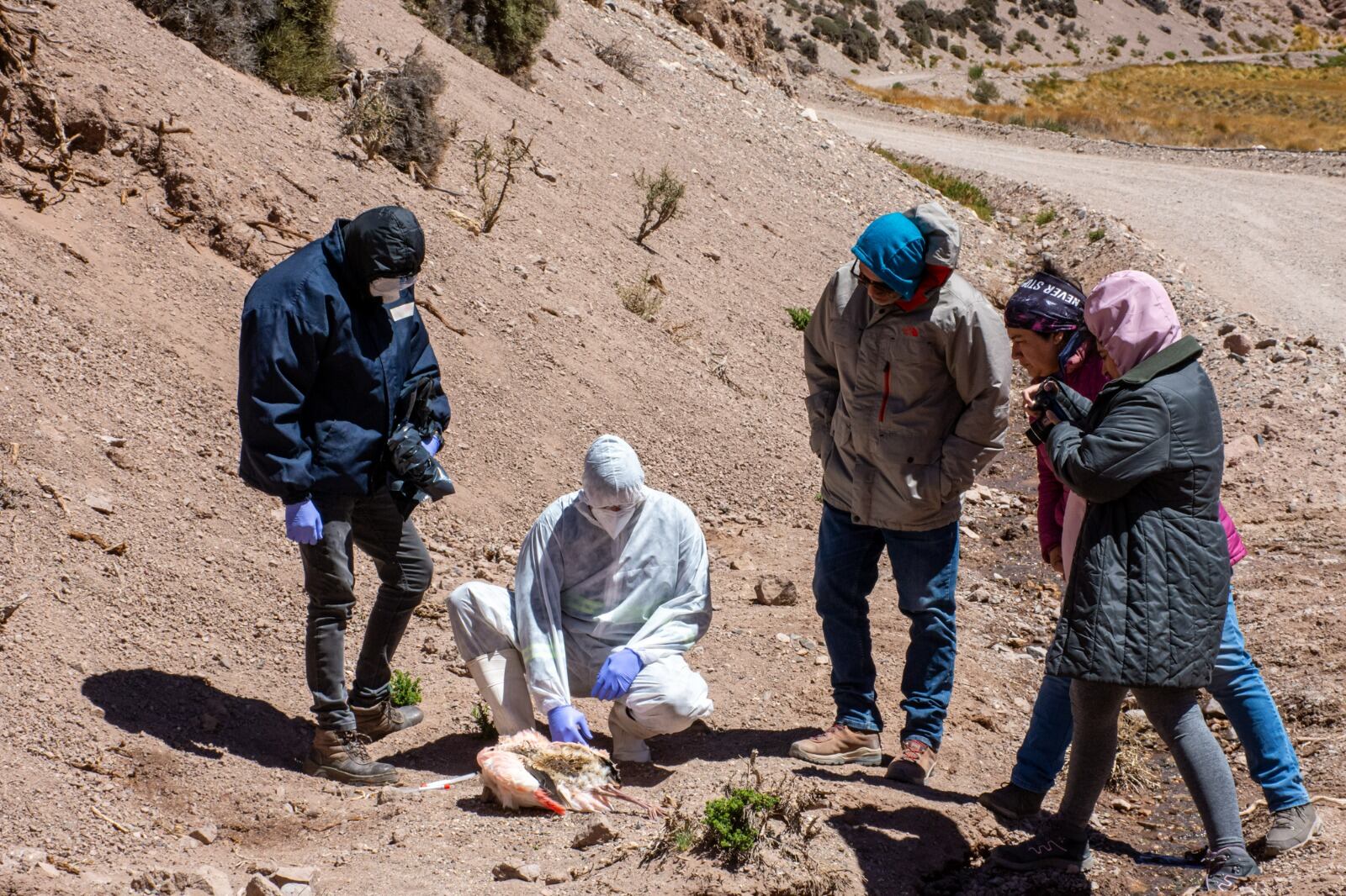 Laguna Brava, Reserva Natural