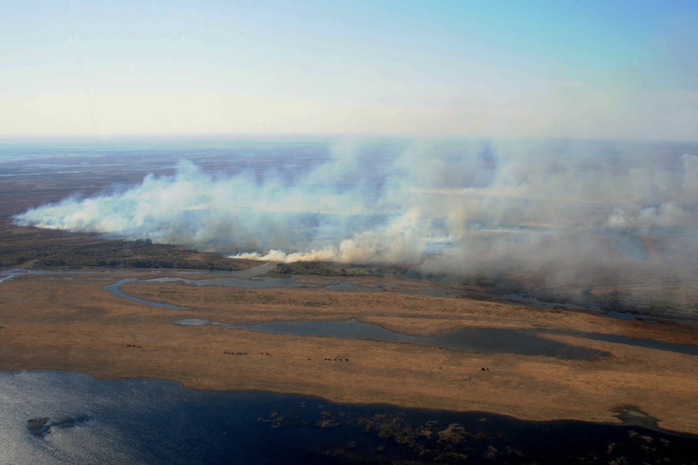 La quema de pastizales impacta negativamente en la zona del Delta del río Paraná.