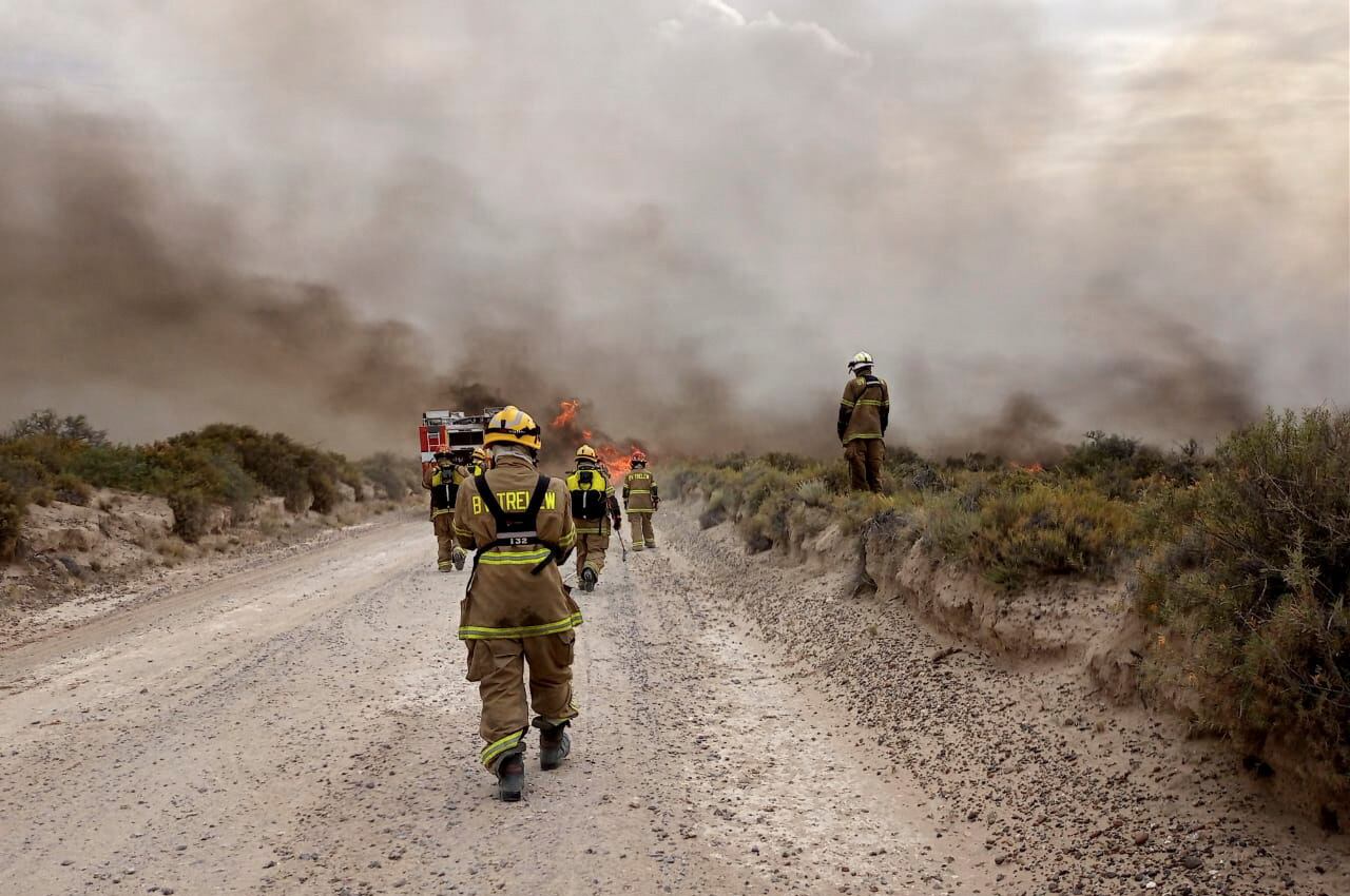 Los bomberos en plena acción 