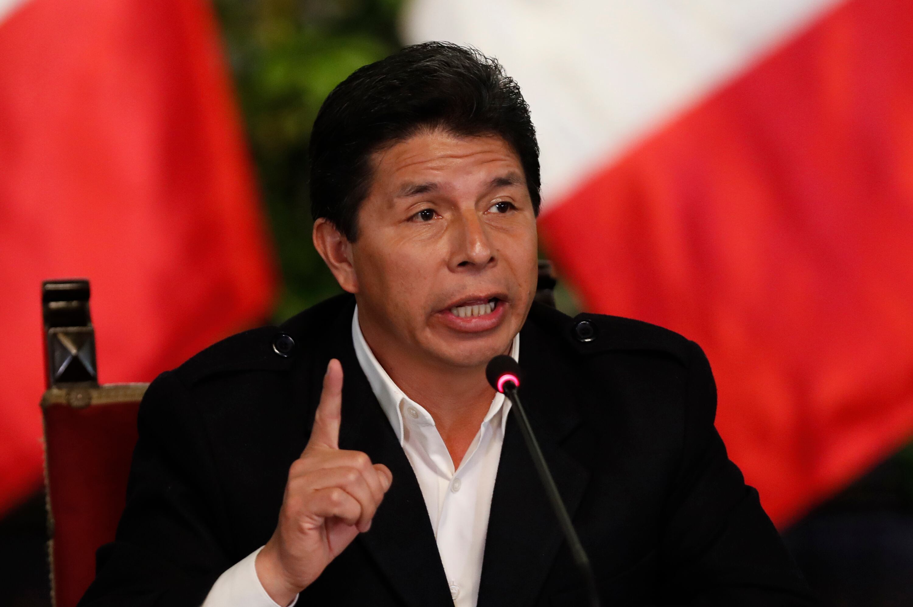 Castillo recibió el respaldo de la OEA
