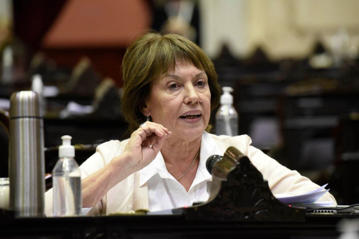 Blanca Osuna, una de las impulsoras del repudio a los dichos de Milei.