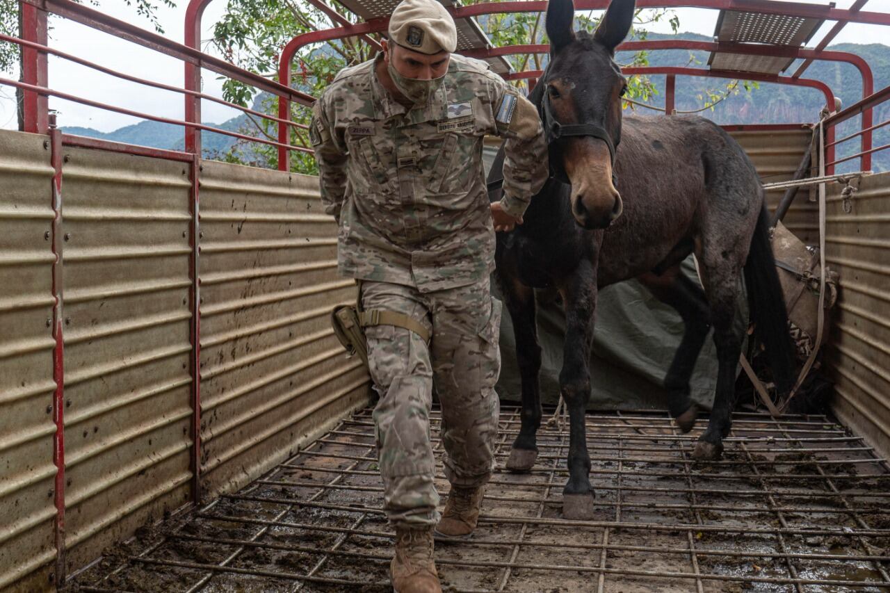 Jujuy, Salta, San Juan, Catamarca y La Rioja son las provincias con sitios donde las urnas llegan transportadas por mulas.