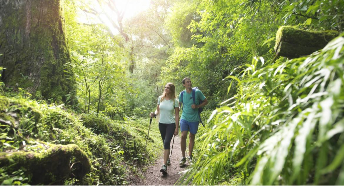 Reserva de Las Yungas en San Lorenzo