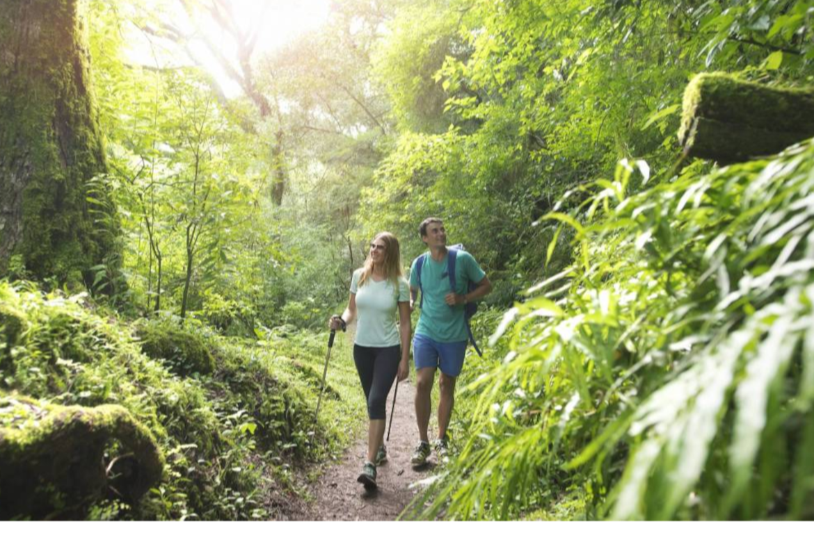 Reserva de Las Yungas en San Lorenzo
