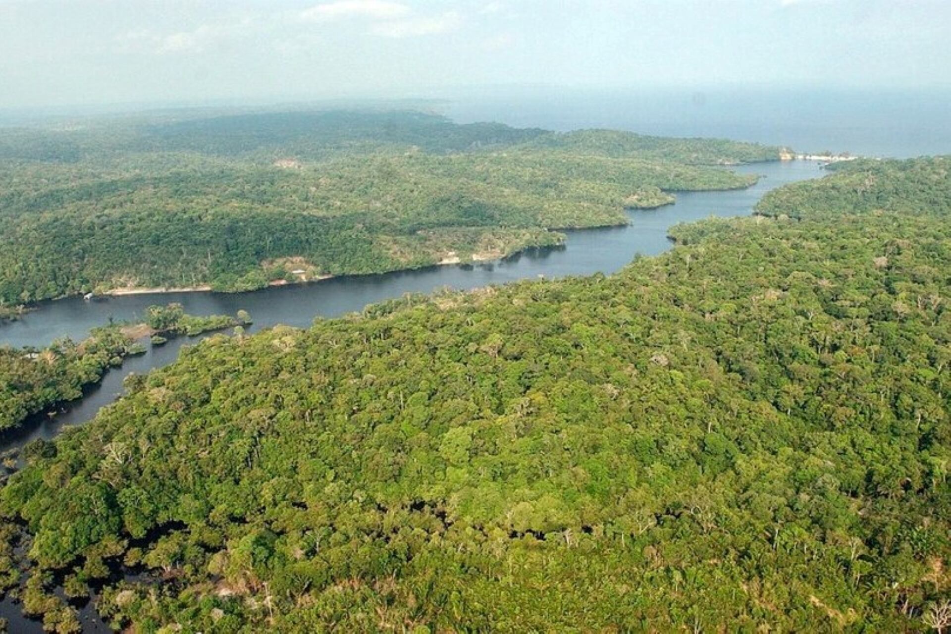 El nivel de deforestación en la Amazonia brasileña marcó un nuevo récord en abril. Imagen: EFE. 