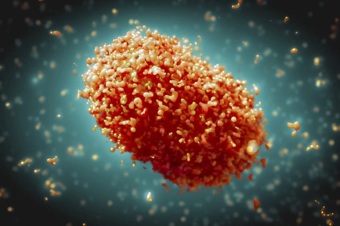 Organización Panamericana de la Salud