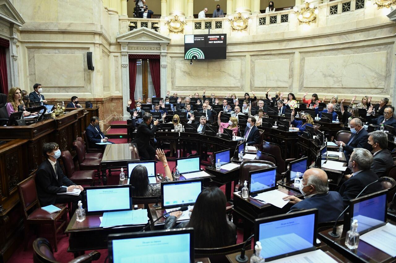 En las elecciones 2021 se eligieron 24 senadores.