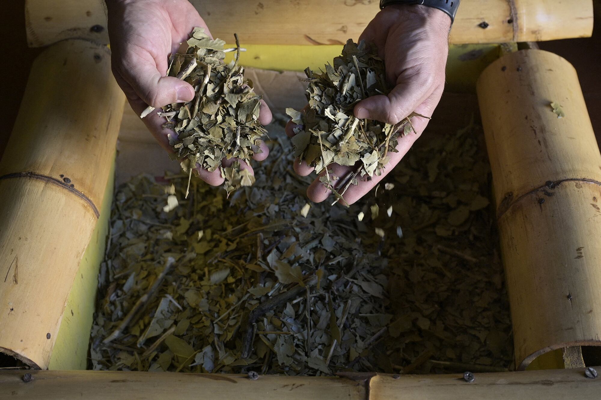 A lo largo de 2024, el consumo interno de yerba cayó 11 por ciento.