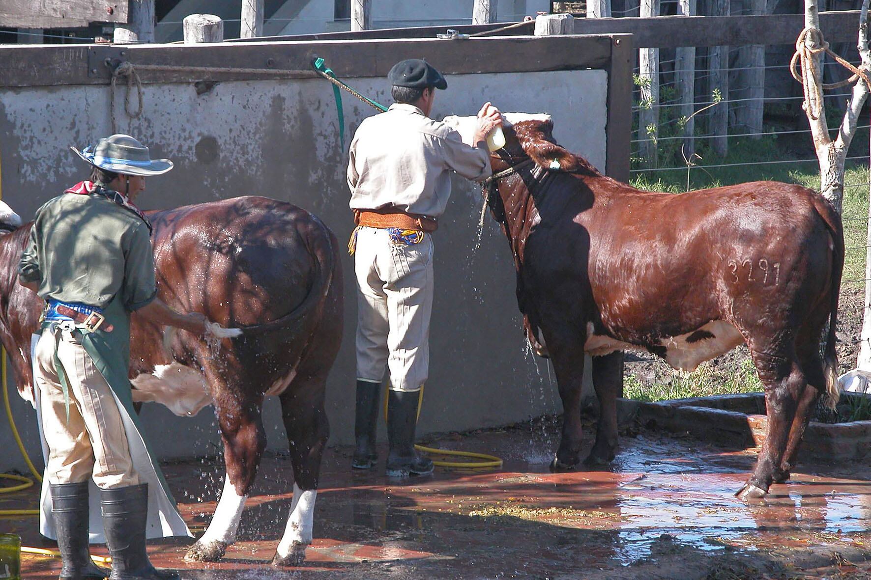 El 60% de los alimentos frescos que se consumen los argentinos son producidos por pequeños productores