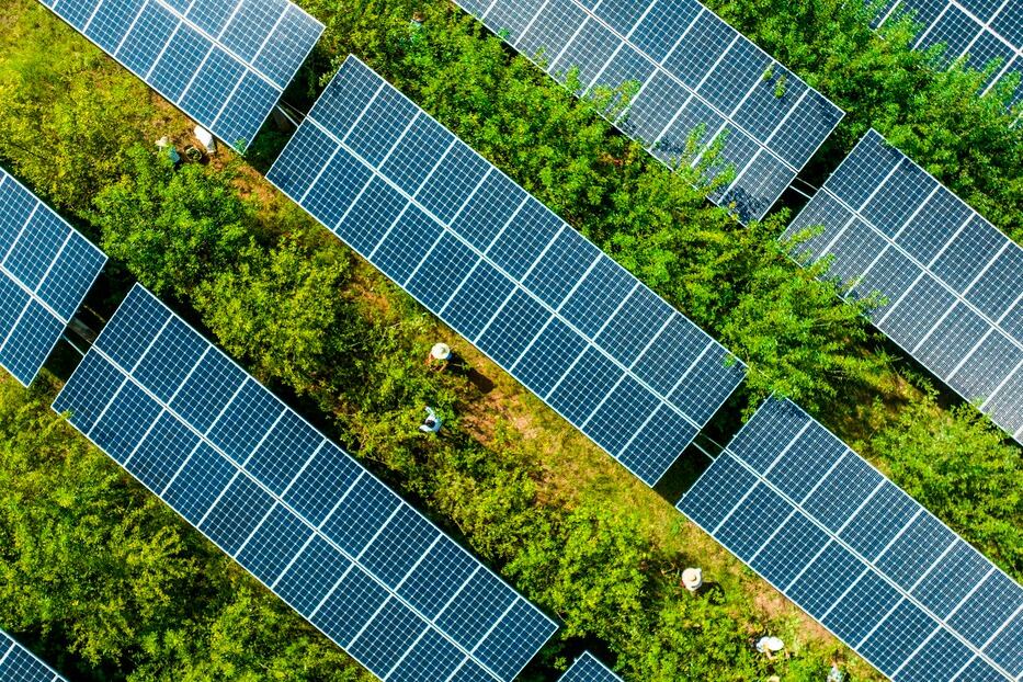 El sector económico más dinámico de los asociados a la transición energética en China es el solar.