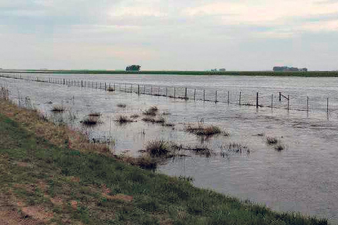 Ayer el agua comenzaba a llegar a los pueblos chicos.
