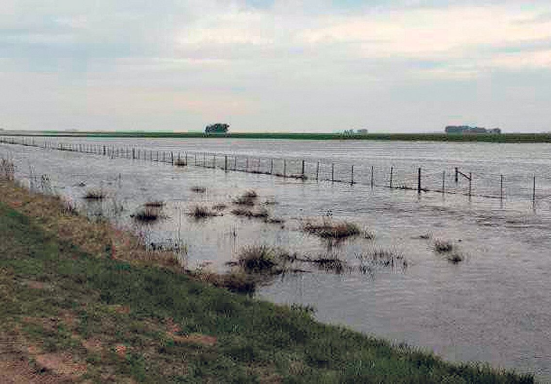 Ayer el agua comenzaba a llegar a los pueblos chicos.